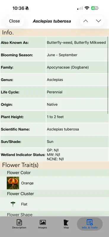 Minnesota Wildflowers Info. screenshot 9 of 10