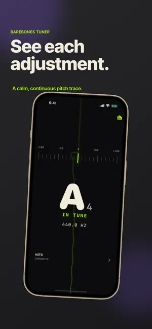 Barebones Tuner screenshot 2