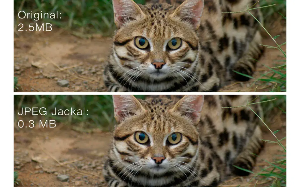 JPEG Jackal 3.1.0 Screenshot 2