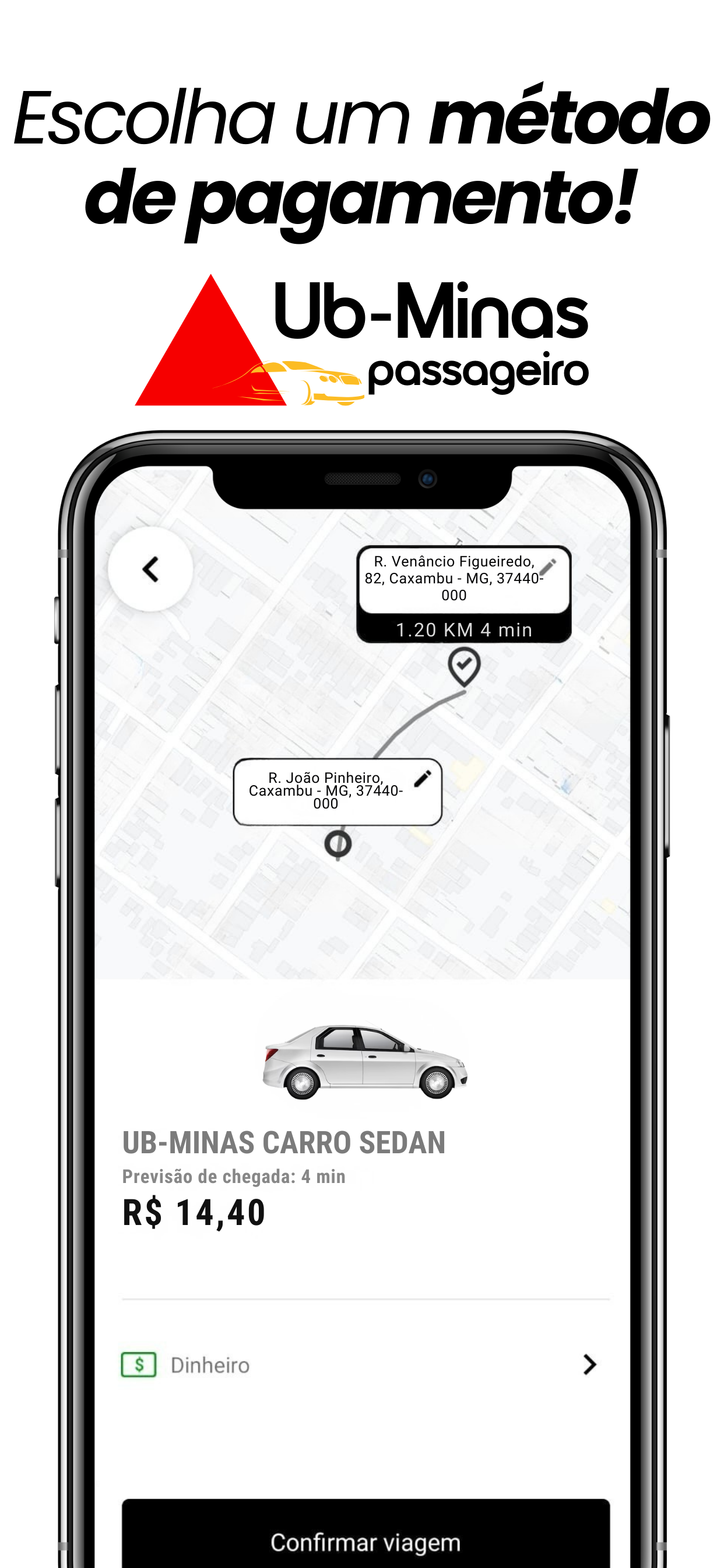 UB-MINAS Passageiro screenshot 4