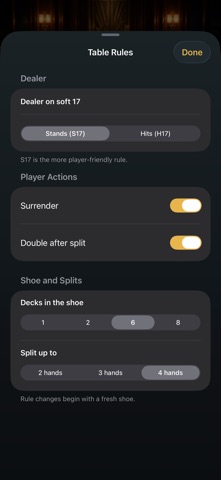 Blackjack 21: Offline Casino screenshot 2