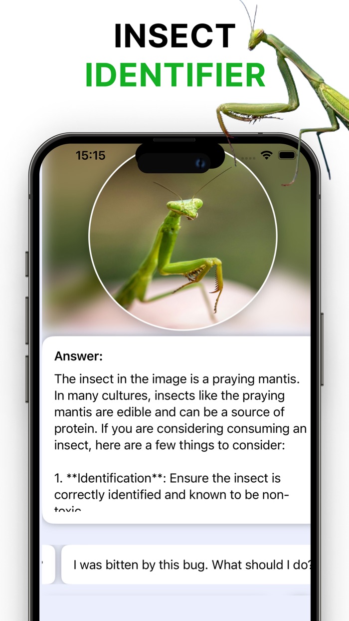 Picture Insect Bug Identifier