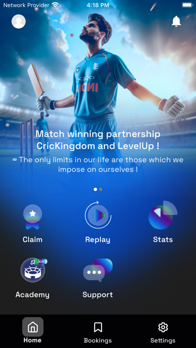 Levelup Cricket Screenshot