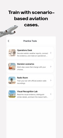 AviPeak: Cabin Crew & Pilot Screenshot 3 of 6
