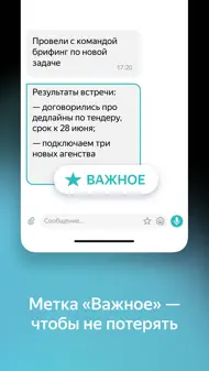 Yandex Messenger iphone bilder 3