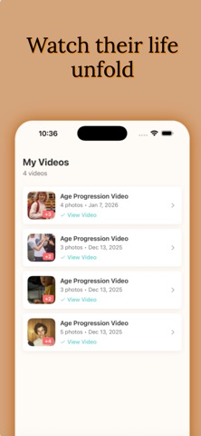 FrameMorph screenshot