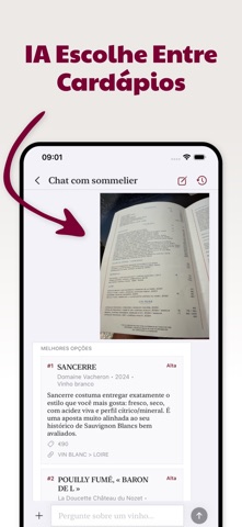 IA do Vinho - Seu Sommelier 스크린샷 3