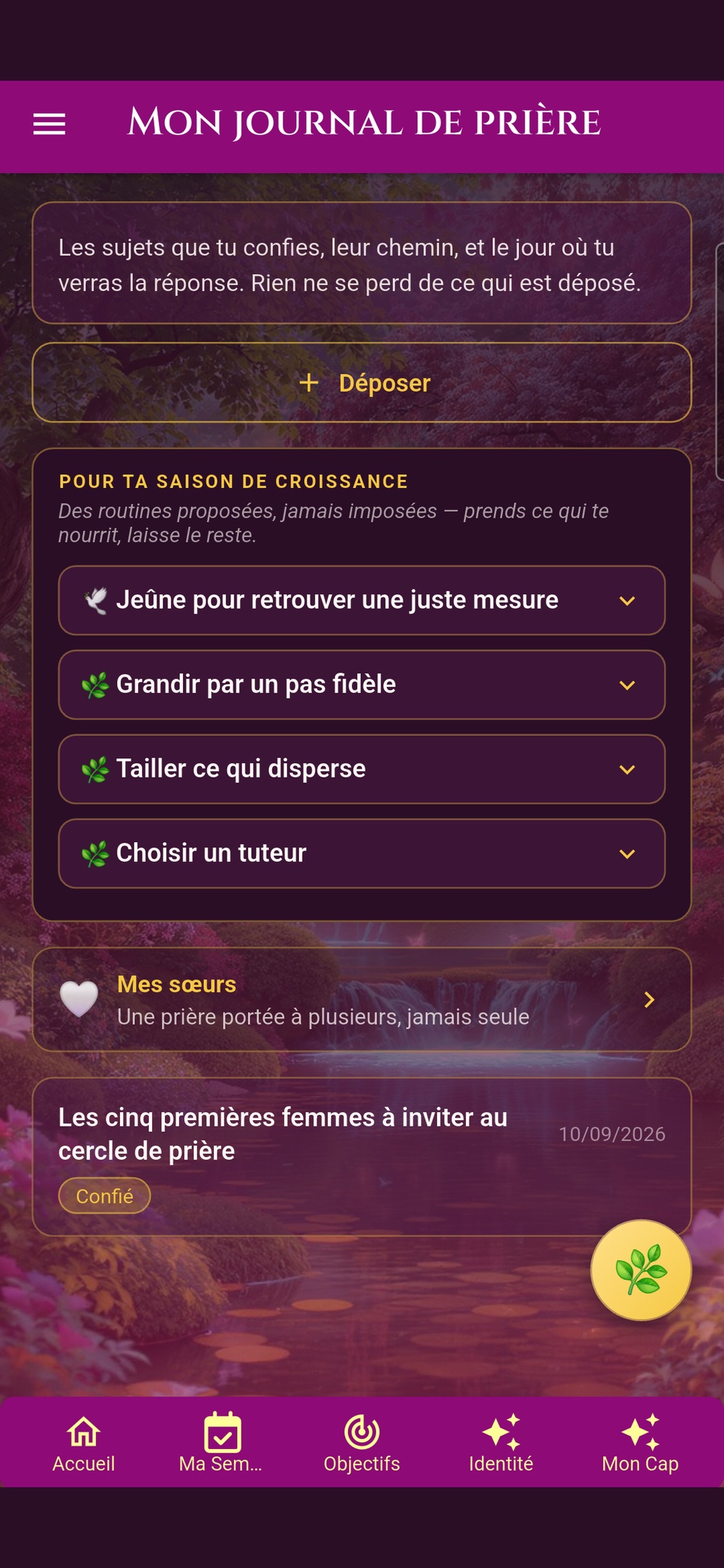 Screenshot 5 of Agenda Prophétique