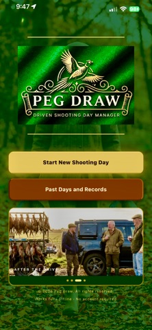 Peg Draw screenshot