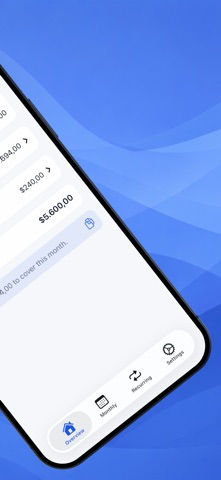 Paylo: Budget Simplified Screenshot 2 of 5