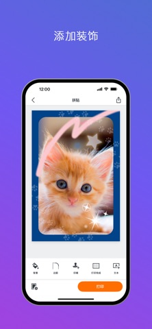 SELPHY Photo Layout screenshot