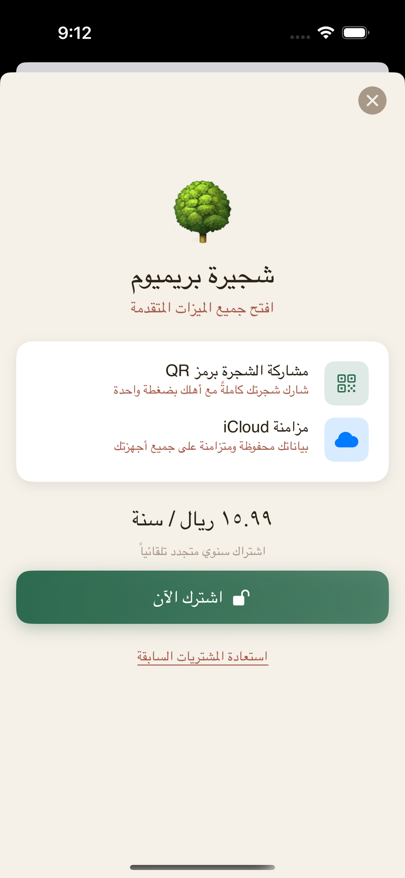 شجيرة