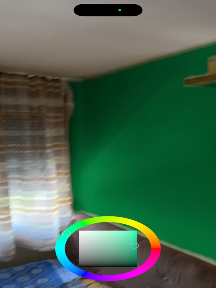 SeeForYourself-PaintVisualizer