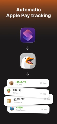 Manual Expense Tracker - Goose Screenshot 9 of 9