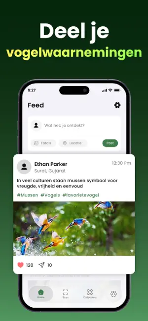 Gratis Vogelgeluiden Herkennen iPhone screenshot 5