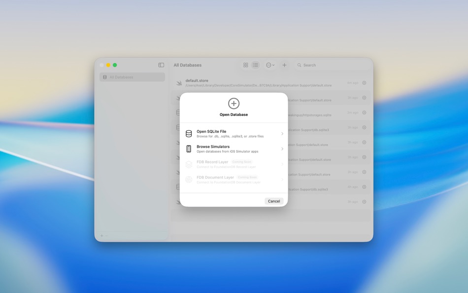 #1. Index: DB Client (macOS) By: Axel Martinez
