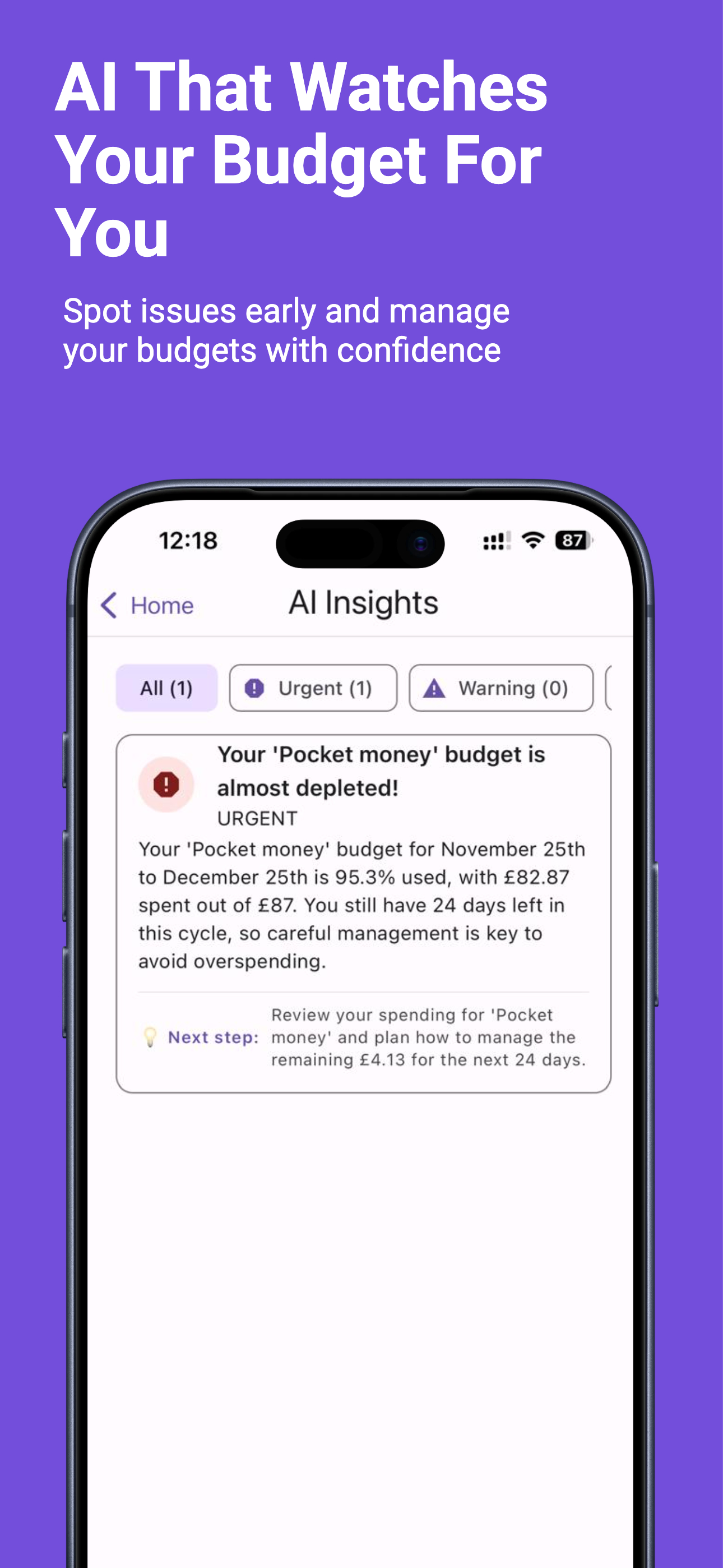 Wise Wallet – AI Budgets