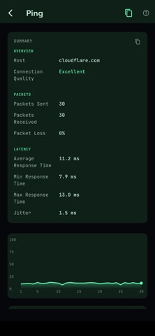 Netra: Network Toolkit screenshot