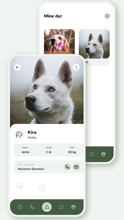 Feedo - Forgiftning hos dyr