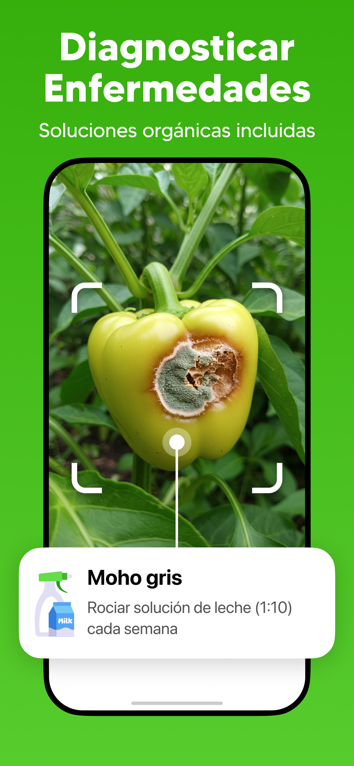 GrowIt: Guía de Plantación