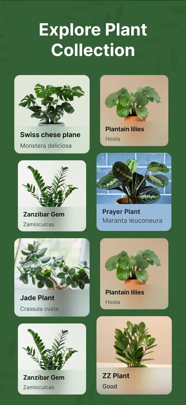 Screenshot #3 pour Plant Identifier: PlantInfo AI