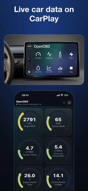 OpenOBD: Live Car Data screenshot 3