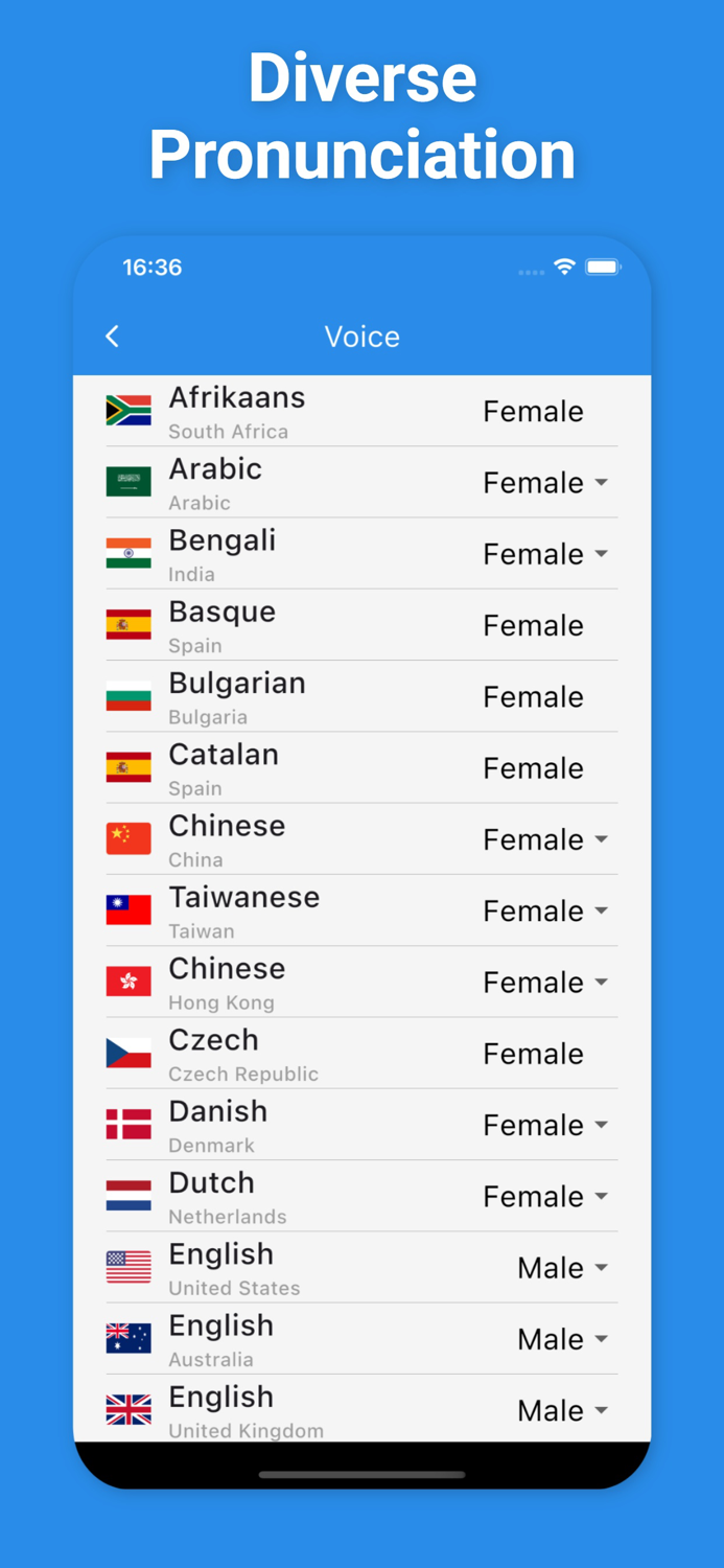 Dutch Translator  More