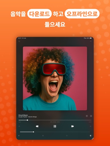 Evermusic: 오프라인 음악 재생기 및 이퀄라이저 iPad screenshot 2