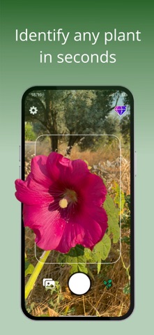 Plant Identifier Ai - Bloom Screenshot 2 of 4