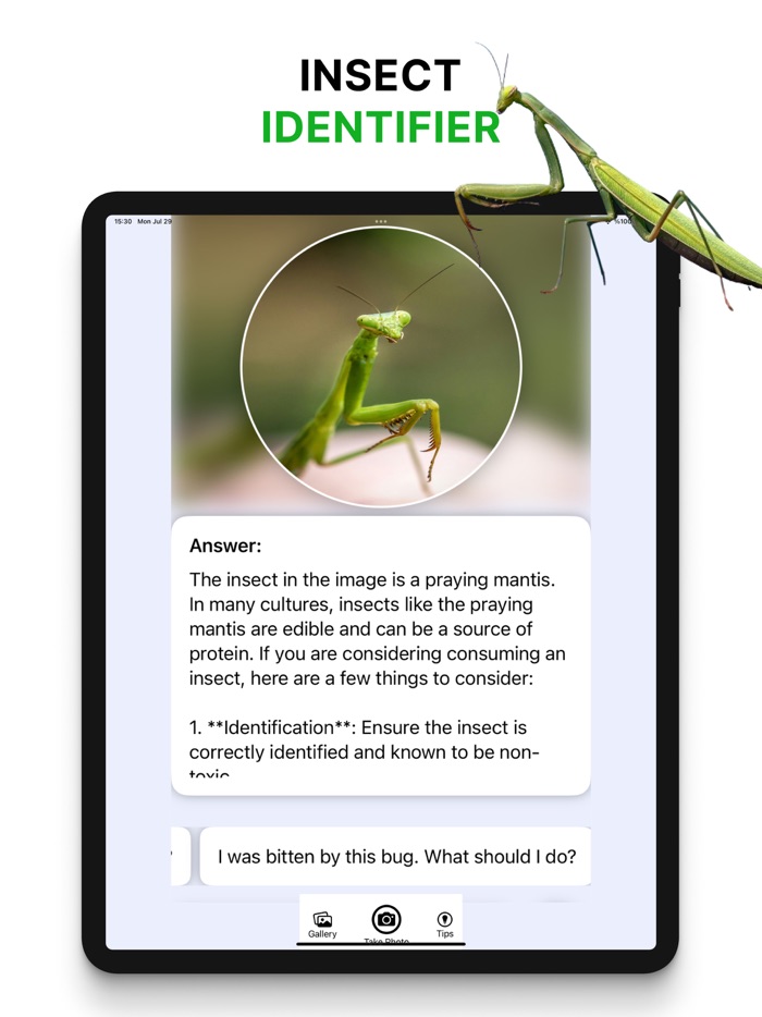 Picture Insect Bug Identifier