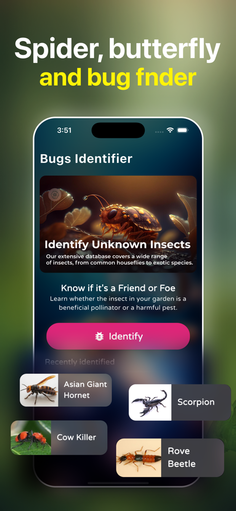 Bug Identifier: Spider Scanner screenshot 5