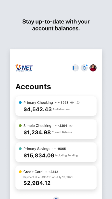 NET Credit Union Screenshot