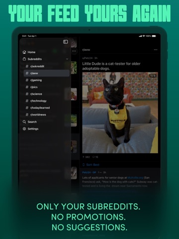 Argus for Reddit iPad screenshot 4