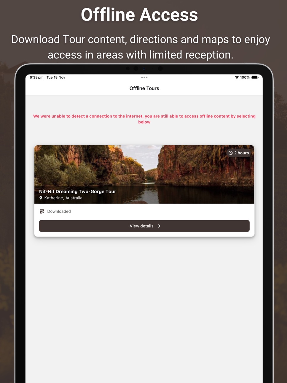 iPad screenshot