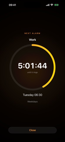 Simple Alarm - Countdown Screenshot 3 of 5
