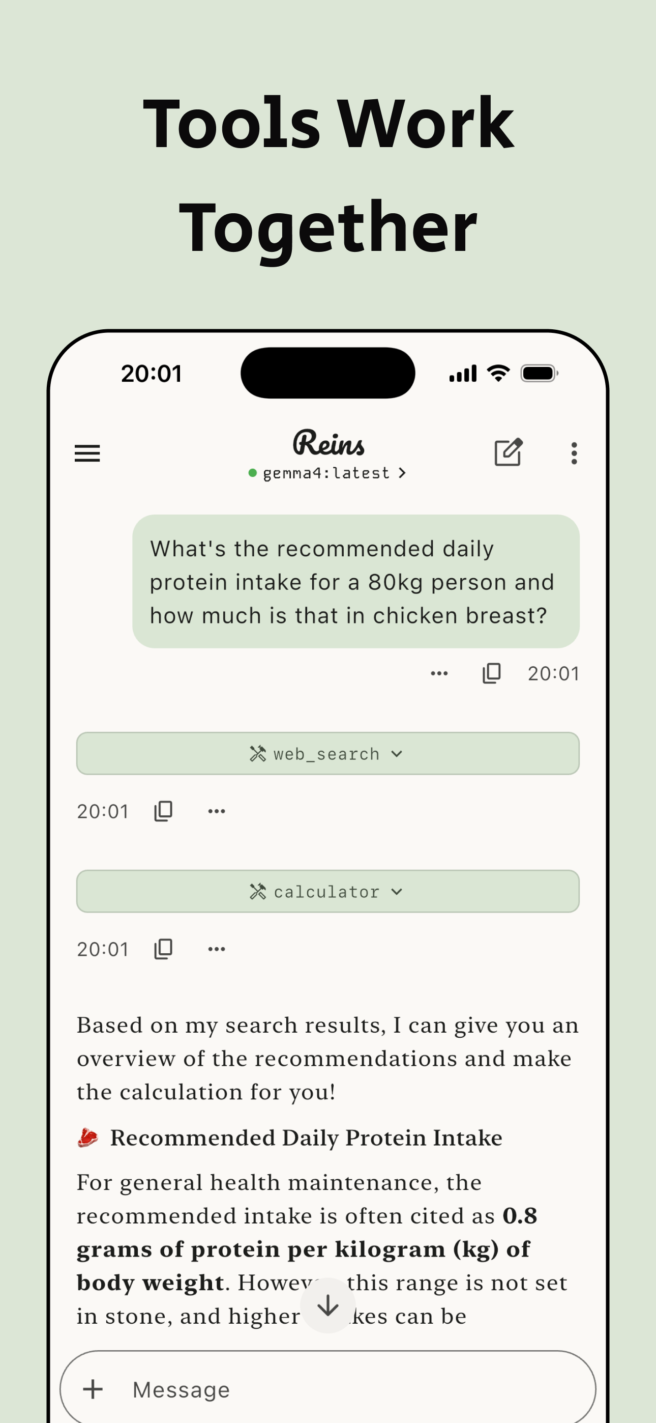 Reins: for Ollama & LM Studio screenshot 4
