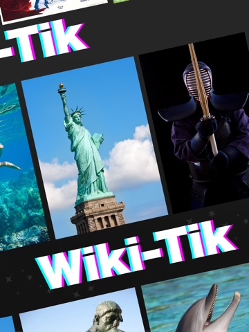 Wiki-Tik: Bite-Sized Learning iPad screenshot