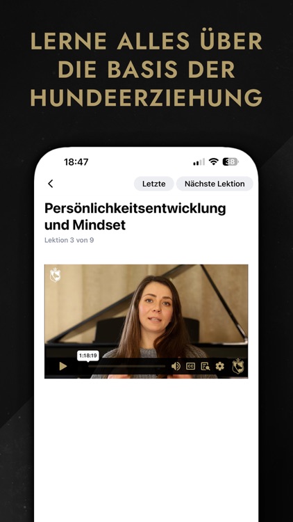InsideDog - Hundeerziehung