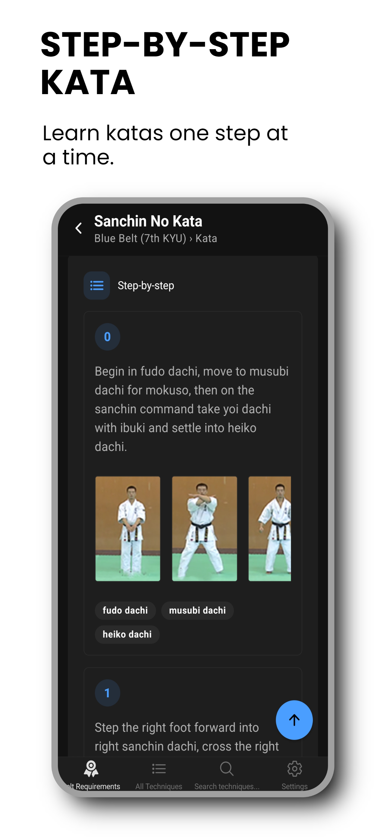 Kyokushin: Belts Requirements screenshot 5