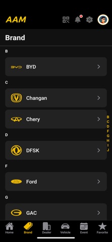 AAM Myanmar screenshot