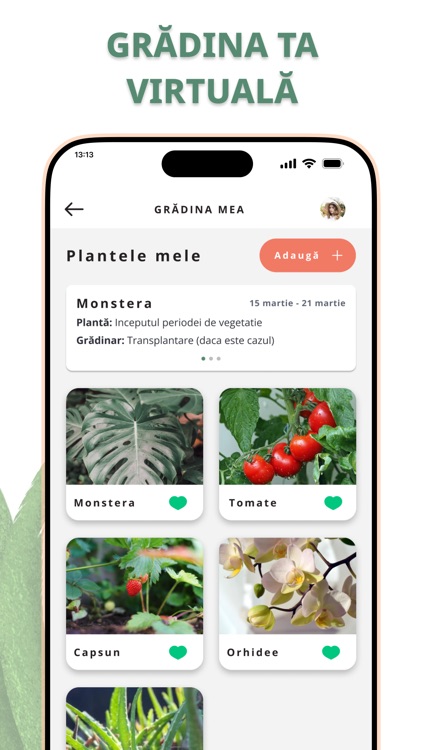 Botanistii screenshot-3
