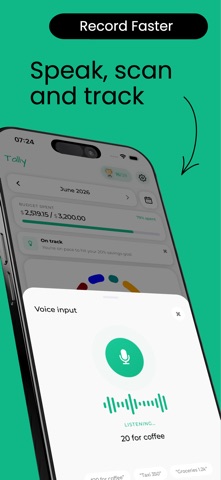 Budget Planner App - Tally screenshot