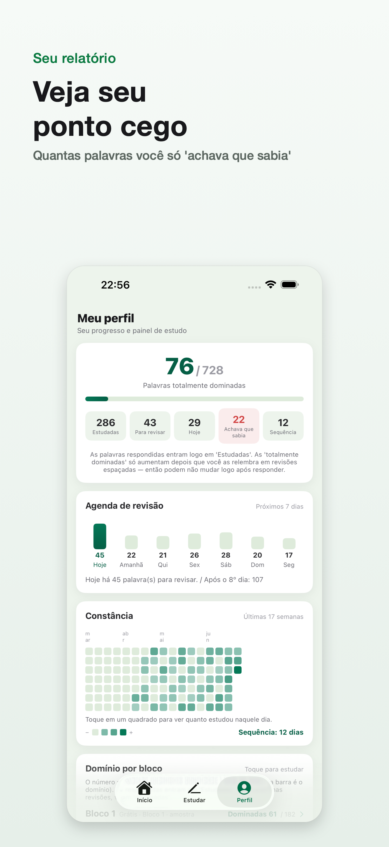 Inglês Instrumental screenshot 7