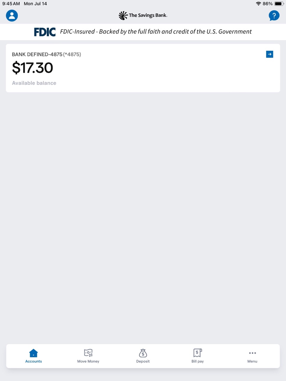 iPad screenshot