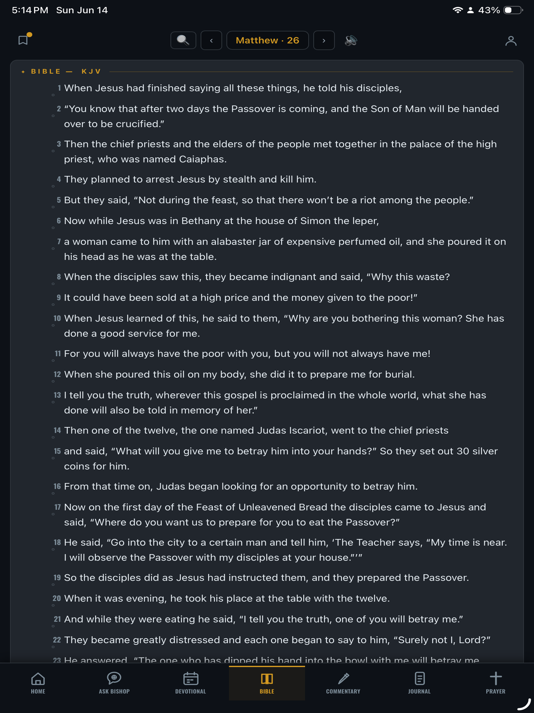 AskBishop screenshot 14