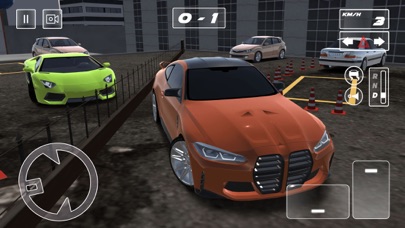 Critical Car Driving Screenshot