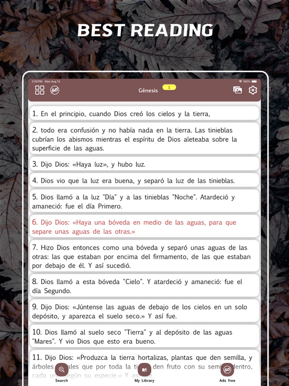 Screenshot #5 pour Bible Latinoamericana