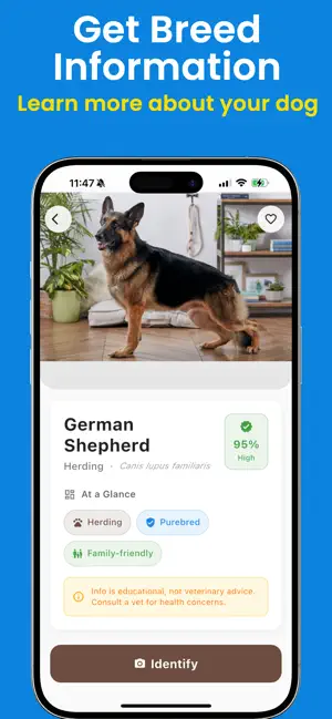 Dog Identifier: Dog Breed AI screenshot 3