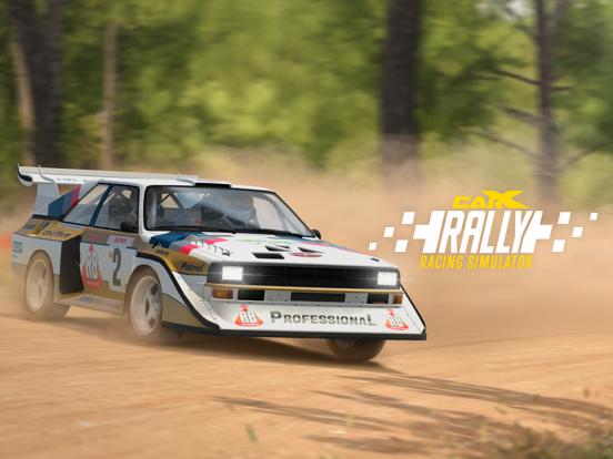 CarX Rally iPad screenshot 9 - Games app