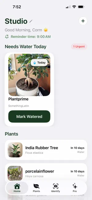 Suolo: Plant Identifier screenshot 1